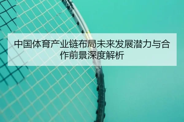 中国体育产业链布局未来发展潜力与合作前景深度解析