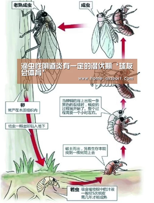 滴虫性阴道炎有一定的潜伏期‘球友会体育’(图4) 球友会